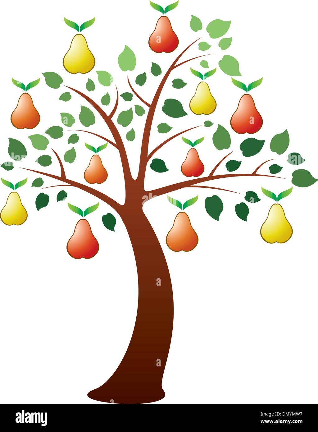 Pear tree illustration fotografías e imágenes de alta resolución Alamy