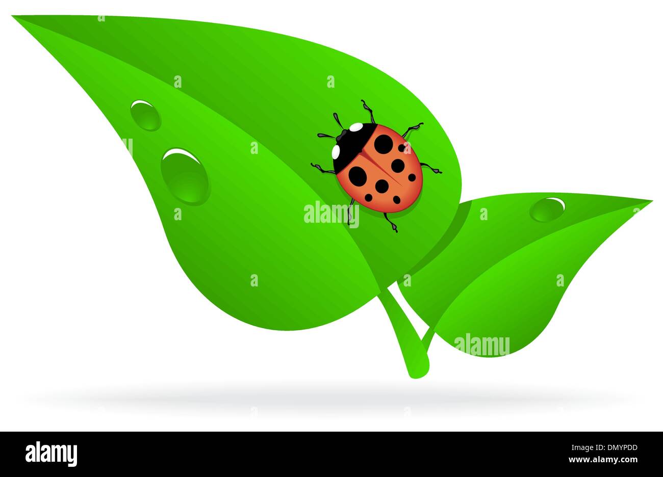 Ladybug en hoja verde Ilustración del Vector