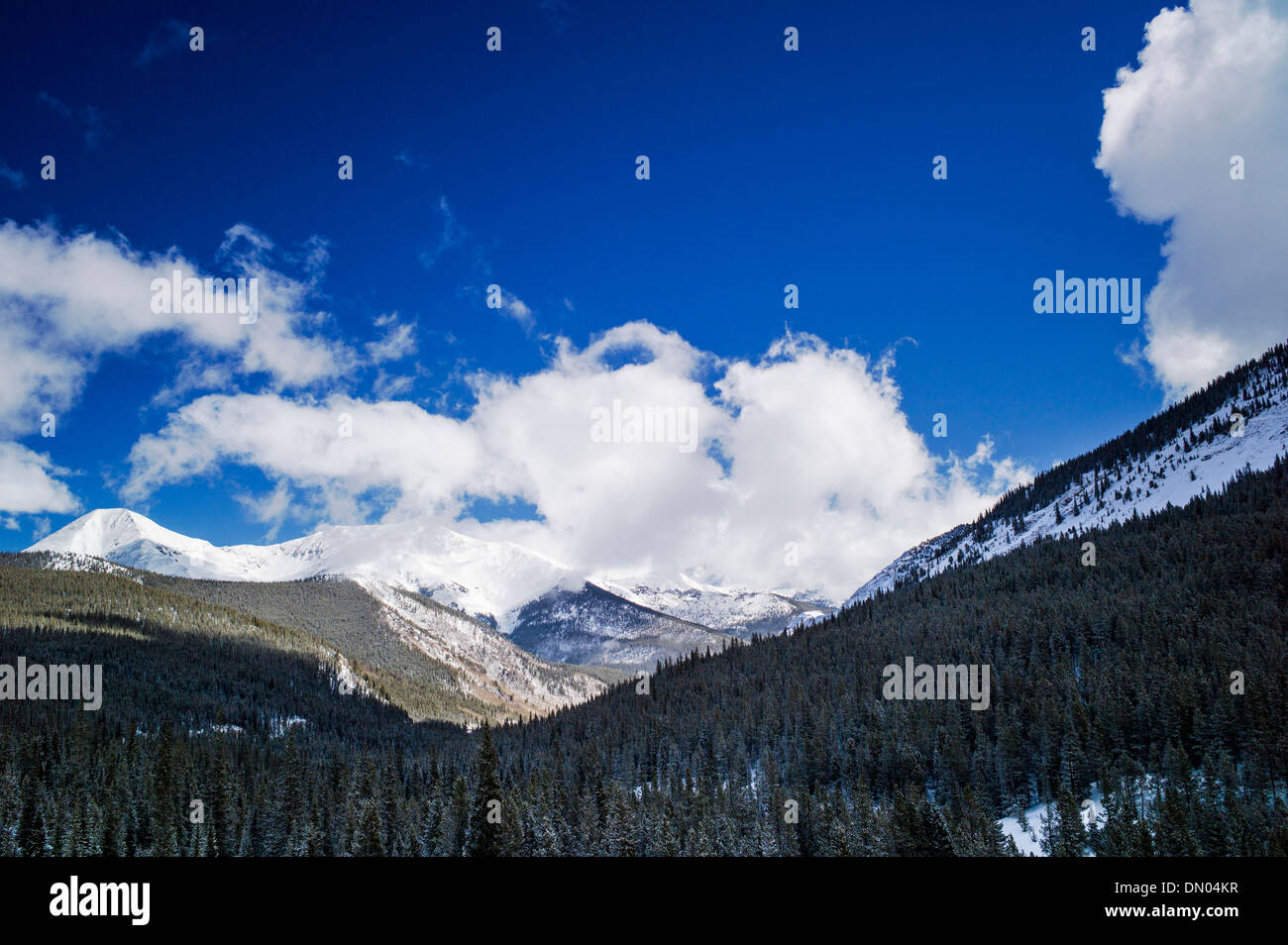 Vista invernal de Sawatch Range desde la parte superior de Monarch Mountain, Colorado, EE.UU. Foto de stock
