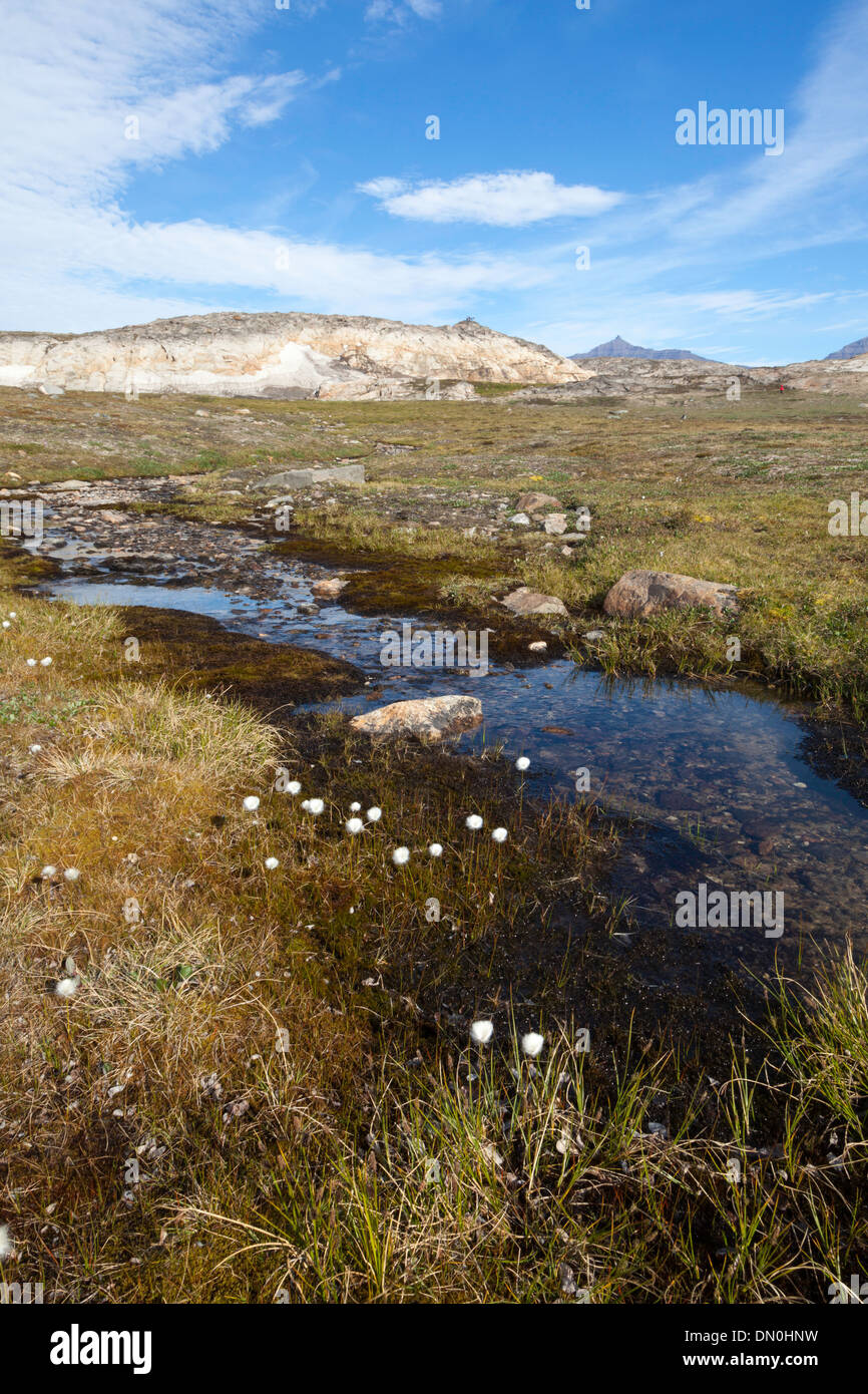 Corriente de agua dulce en Danmark Isla, Groenlandia Foto de stock