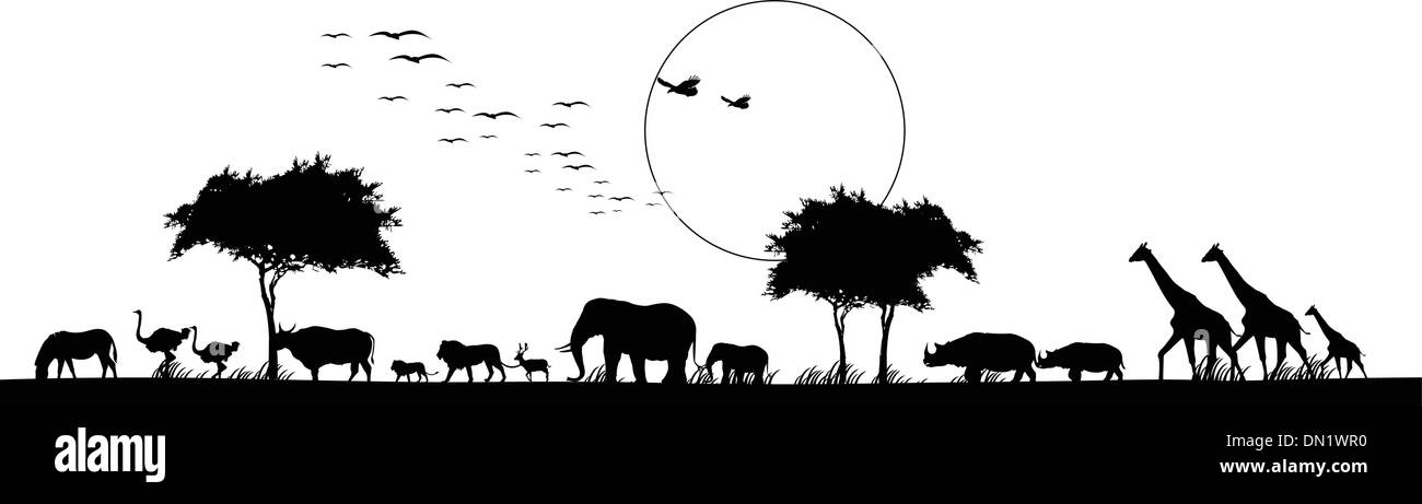 Belleza silueta de safari animal Ilustración del Vector