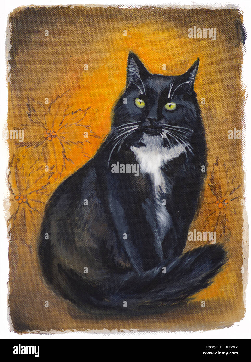 Pintado de pedigrí Norwegian Forest cat longhair sentado gato negro con