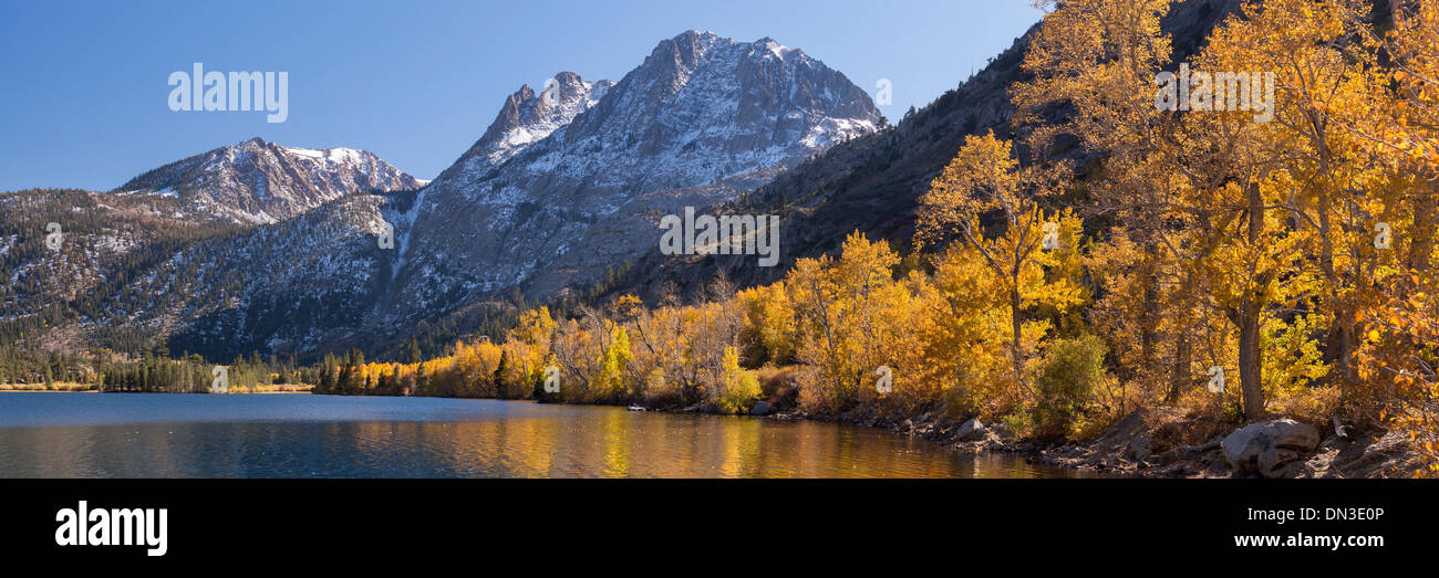 Follaje dorado en las orillas del lago plateado en la parte oriental de la Sierra, California, USA. Otoño (octubre de 2013). Foto de stock