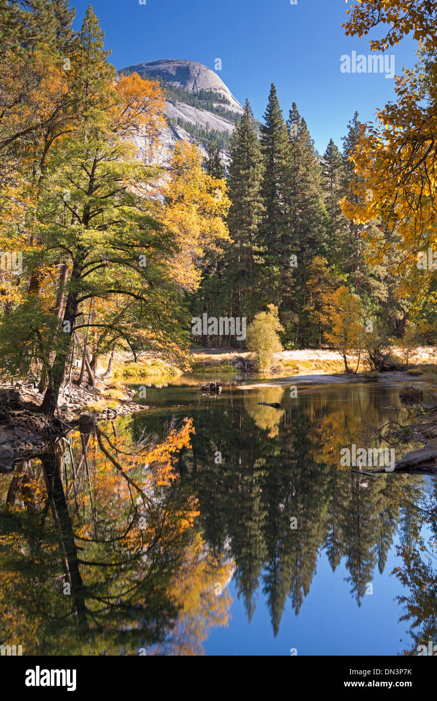Follaje otoñal a orillas del río Merced, en el valle de Yosemite, California, USA. Otoño (octubre de 2013). Foto de stock