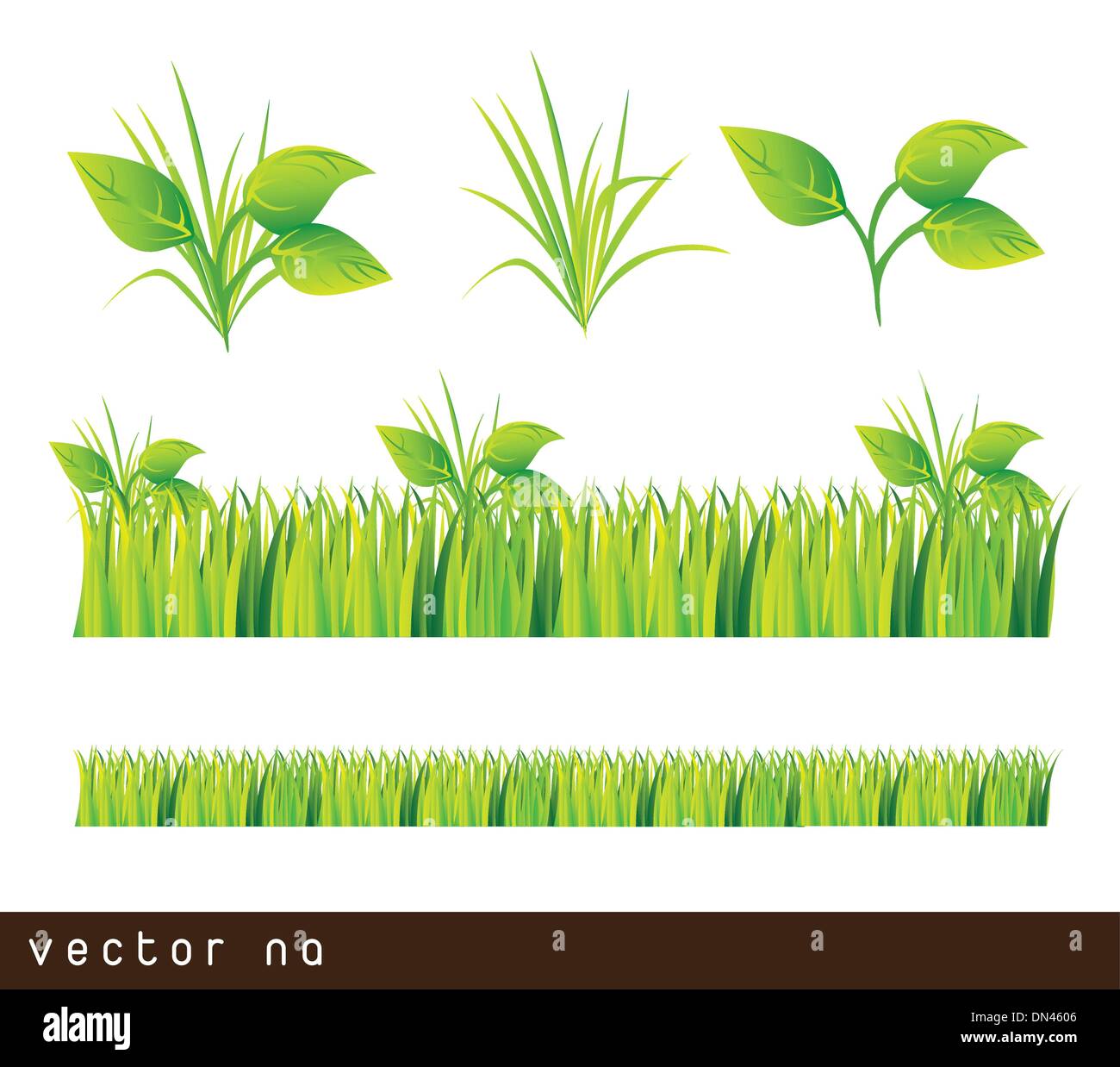 Las hojas y la hierba Ilustración del Vector