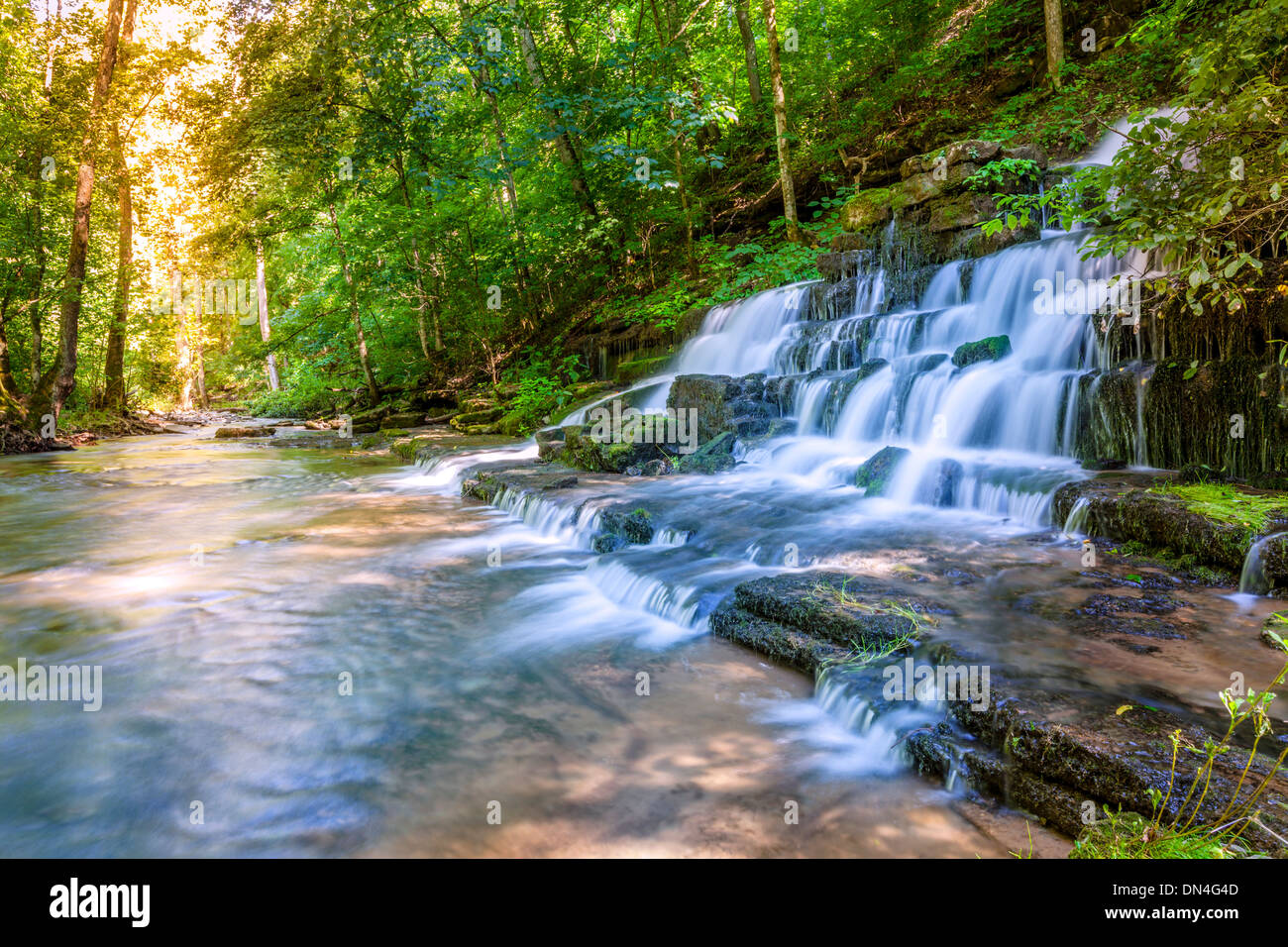 Forest creek y cascada Foto de stock