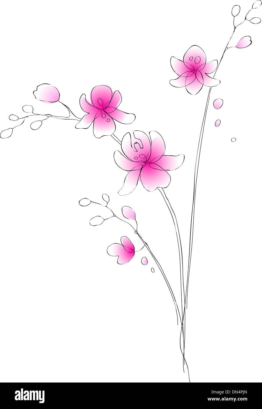 Acuarela dibujo vectorial de orquídeas Imagen Vector de stock - Alamy