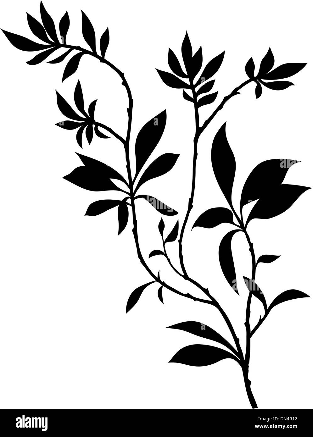 Ramas de los árboles rama hojas Imágenes vectoriales de stock - Alamy