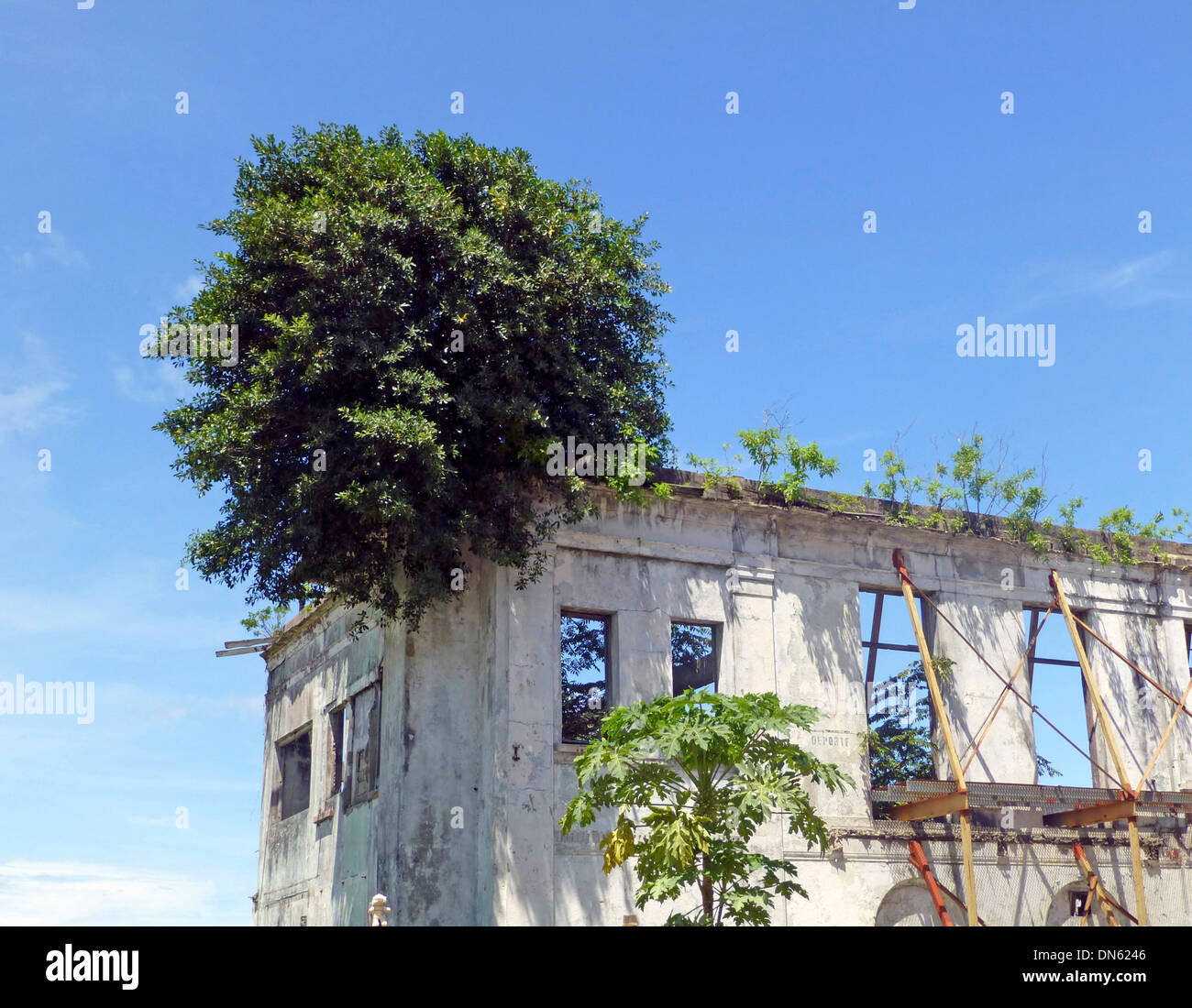 Dilapidada casa en el centro histórico casco viejo, Casco antiguo o San Felipe, Ciudad de Panamá, Panamá Foto de stock