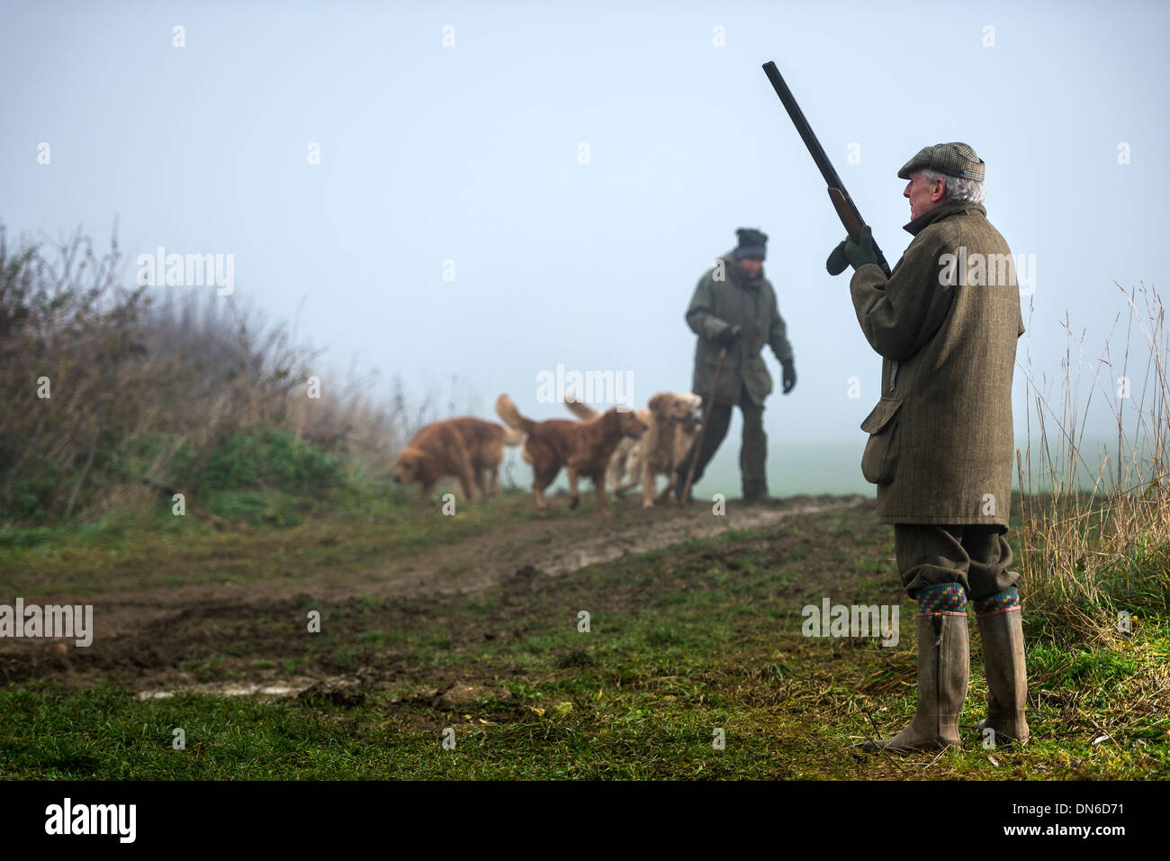 La niebla desciende sobre un días impulsada disparar en diciembre en el corazón de la campiña de Wiltshire. Foto de stock