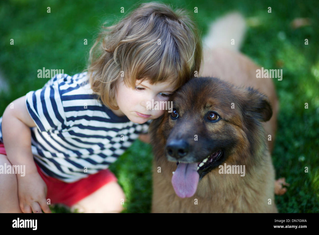 Niñito abraza con perro Foto de stock