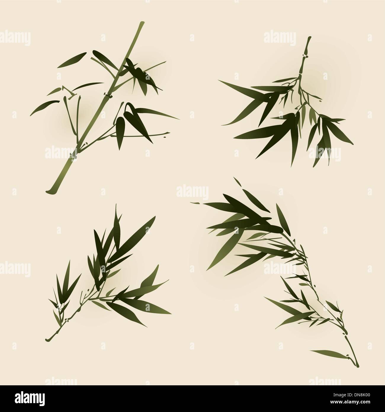 Hojas de bambú bambú decoración vegetal de hojas de bambú decorativo  arreglo Fotografía de stock - Alamy