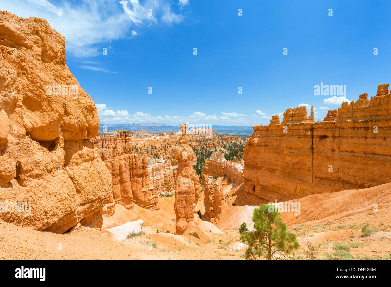 Thors Hammer monolito en el Navajo Loop Trail, Sunset Point, Bryce Anfiteatro, Bryce Canyon National Park, Utah, EE.UU. Foto de stock