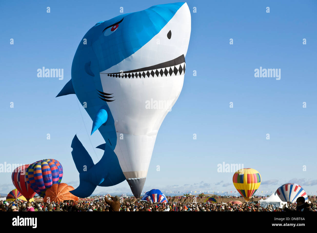 Shark en globo de aire caliente a lo largo de multitud, Albuquerque International Balloon Fiesta, Albuquerque, Nuevo México, EE.UU. Foto de stock