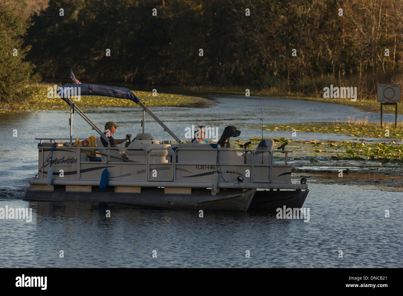 Pontoon Boat en la Haines Creek River en el condado de Lake Leesburg, Florida, EE.UU. Foto de stock