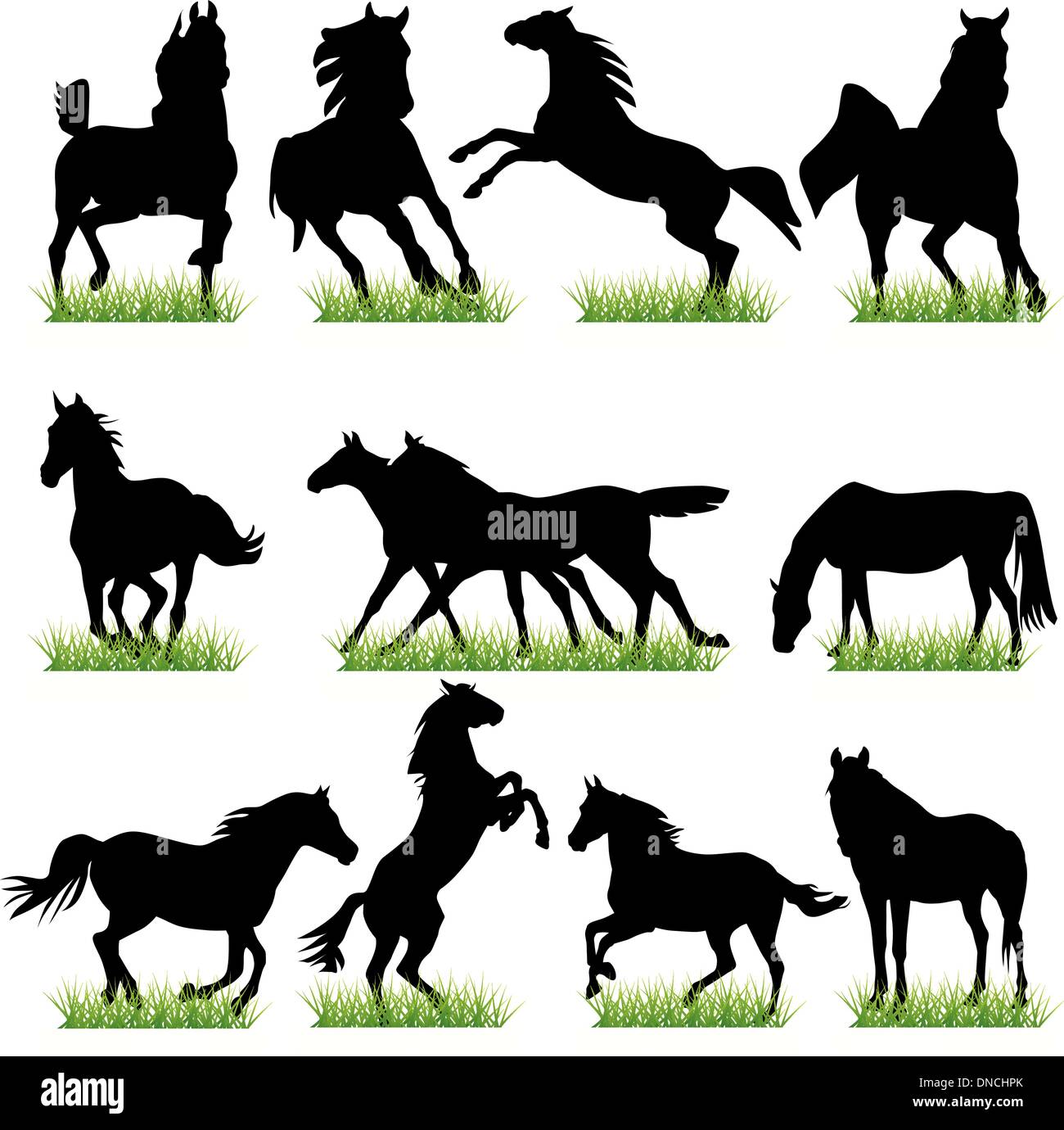 Conjunto de siluetas de caballos Ilustración del Vector