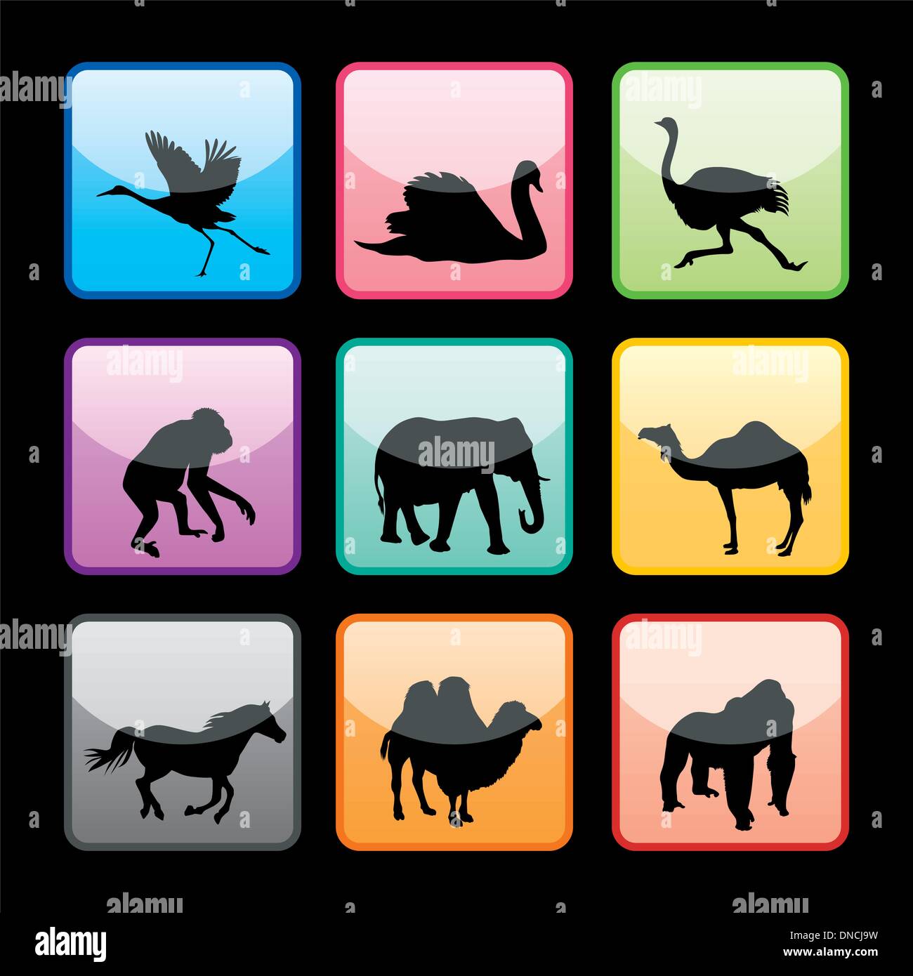 Conjunto de siluetas de animales silvestres Ilustración del Vector
