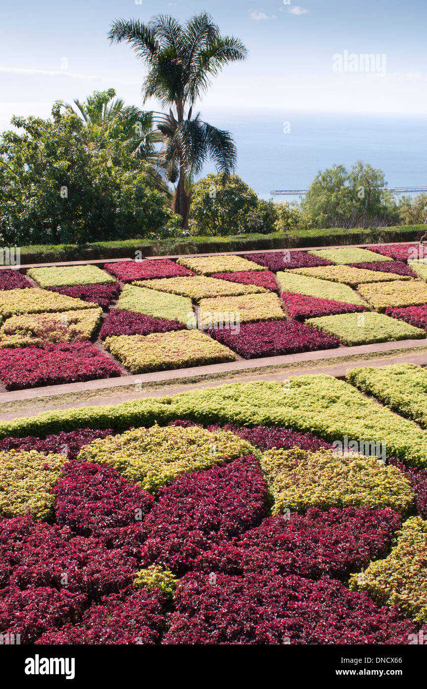 Los jardines botánicos (Jardim Botanico), Funchal, Madeira, Portugal Foto de stock