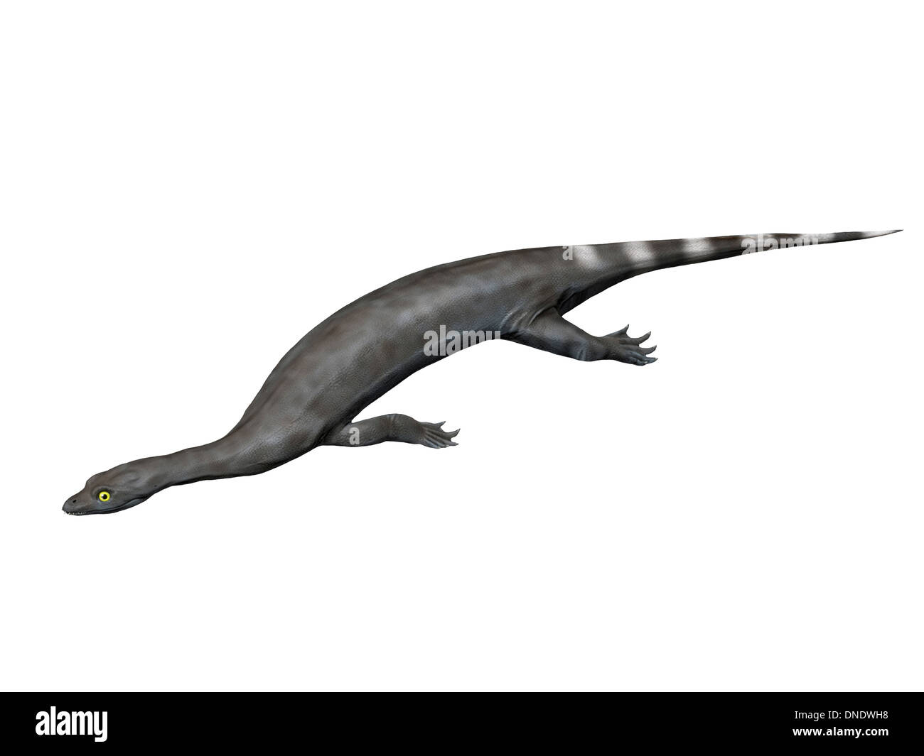 Corosaurus alcovensis Triásico temprano de Wyoming, Estados Unidos. Foto de stock