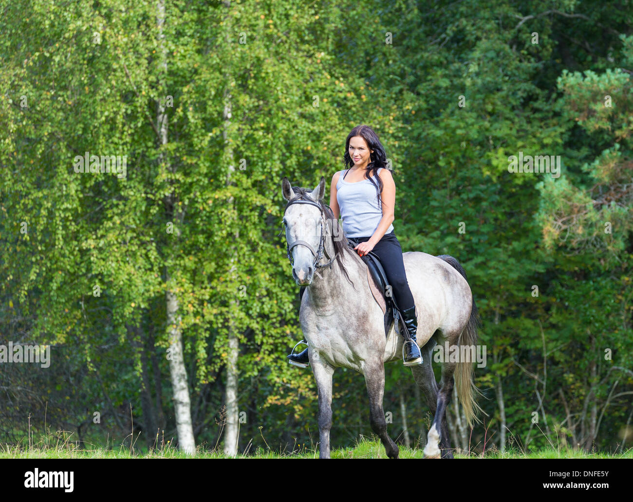 Joven elegante en caballo Foto de stock
