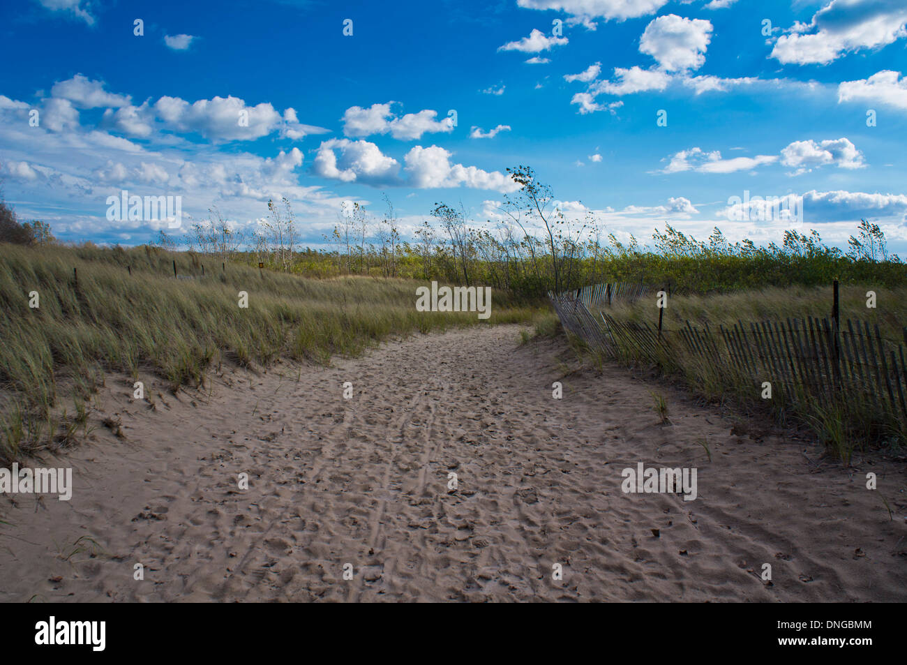 Un camino de arena conduce hacia la playa a través de dunas cubiertas de hierba en Presqu'ile Parque con cielo azul y nubes dispersas por encima. Foto de stock