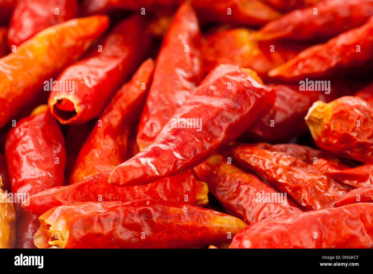 Rojo pimiento seco . Foto de stock