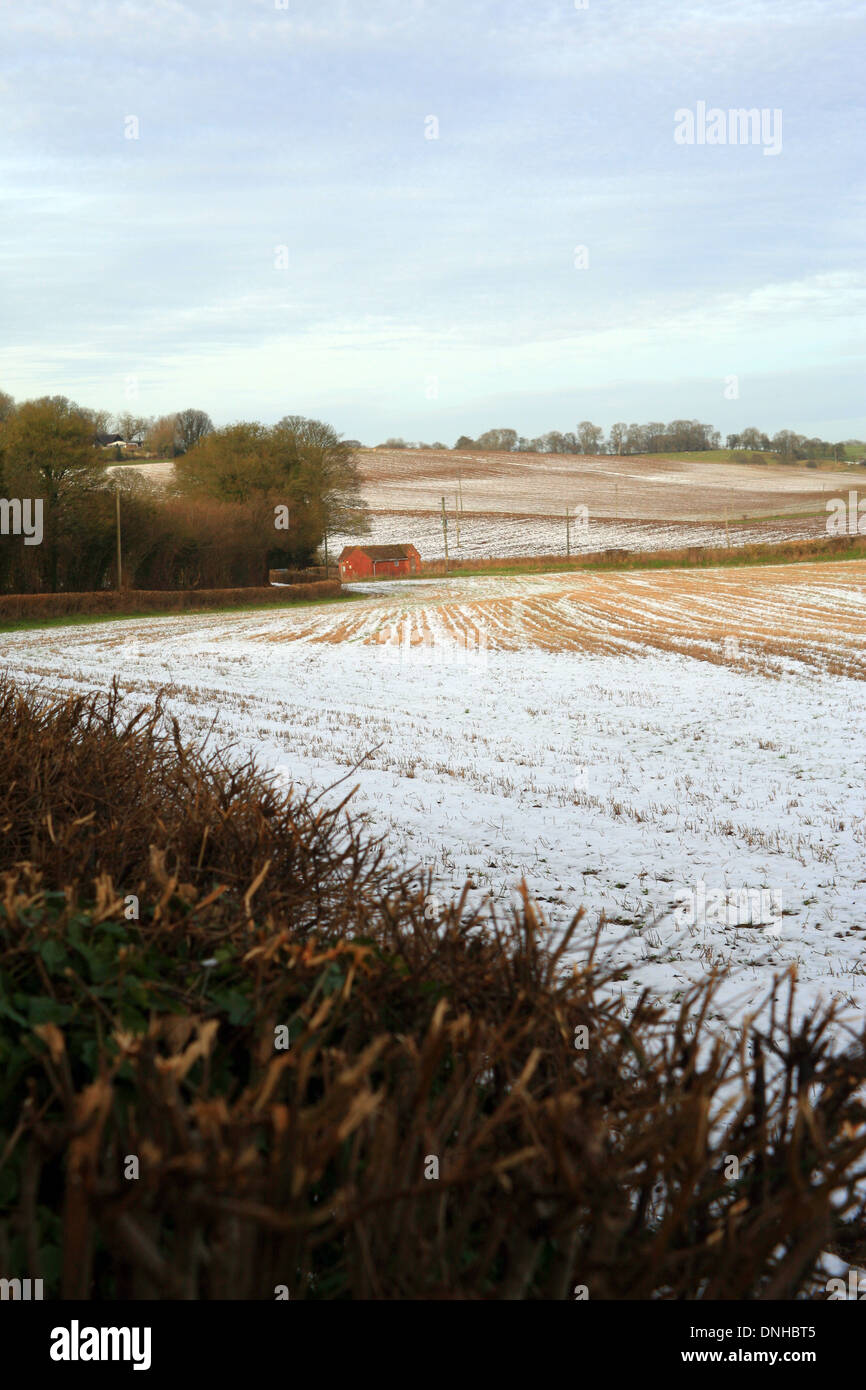 Campo cubierto de nieve en invierno y Elmsted Bodsham, North Downs, Ashford, Kent, Inglaterra Foto de stock