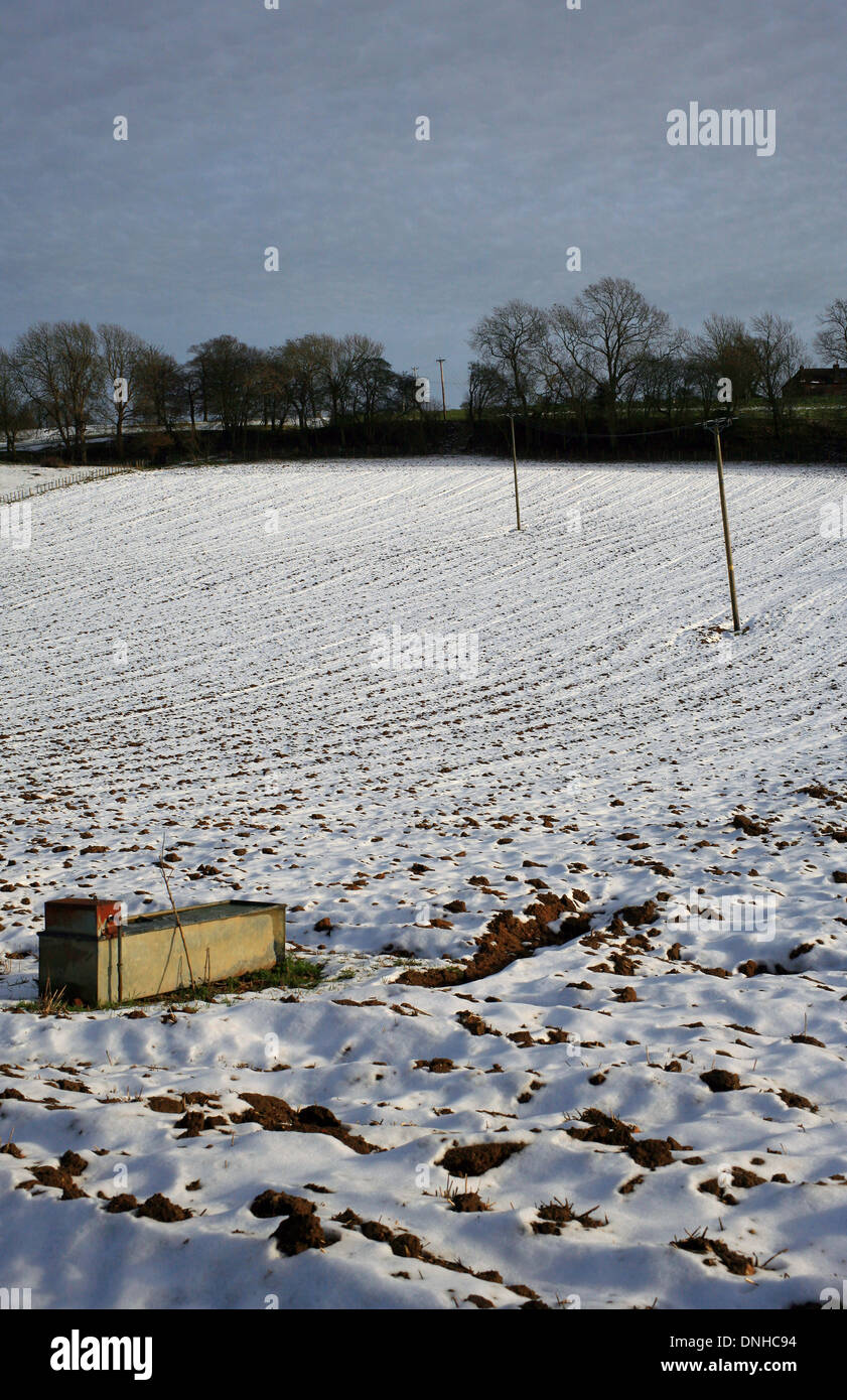 Campo cubierto de nieve en invierno y Elmsted Bodsham, North Downs, Ashford, Kent, Inglaterra Foto de stock