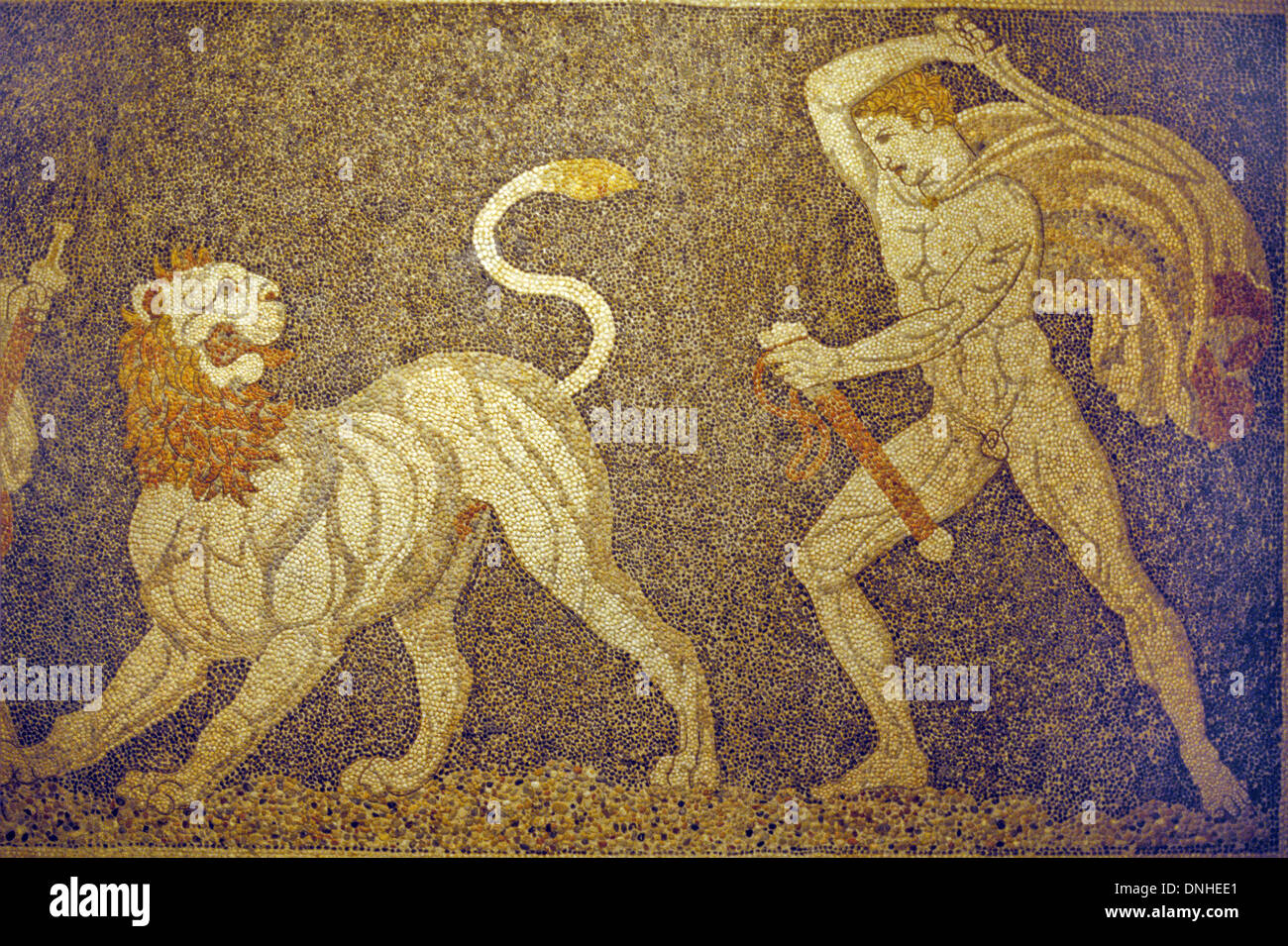 Una caza de leones romanos fotografías e imágenes de alta resolución - Alamy