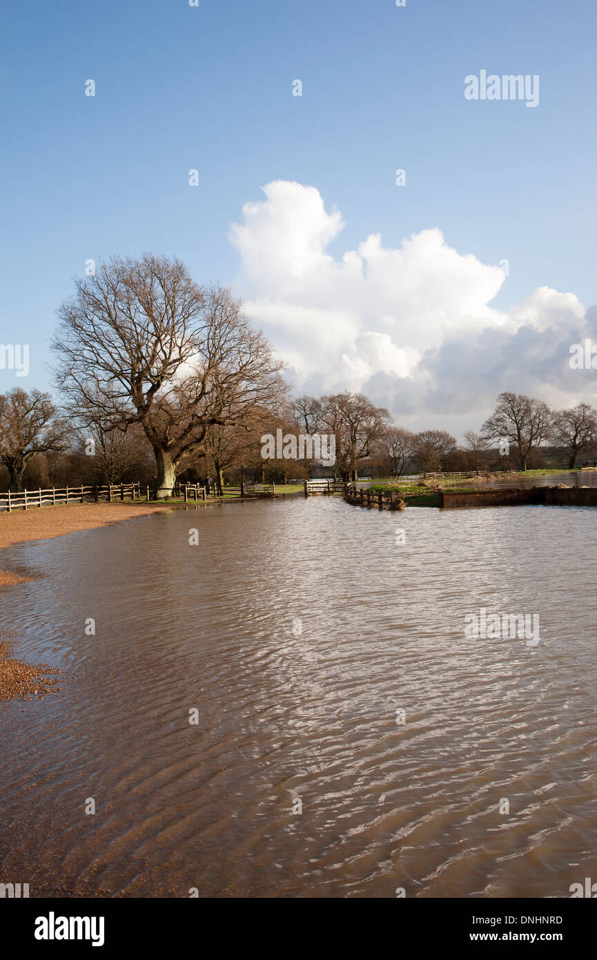 Río Rother en East Sussex y Kent fronteras en situación provocada por las inundaciones de diciembre de 2013 Foto de stock