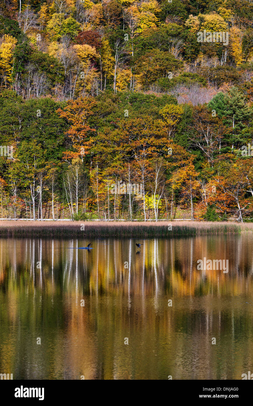 Echo Lake, Vermont, EE.UU. Foto de stock