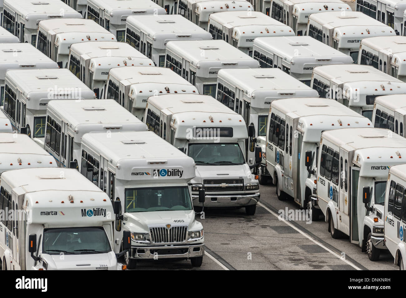 Flota de MARTA (Metropolitan Atlanta Rapid Transit Authority) Movilidad autobuses que sirven a las personas con discapacidad. Foto de stock