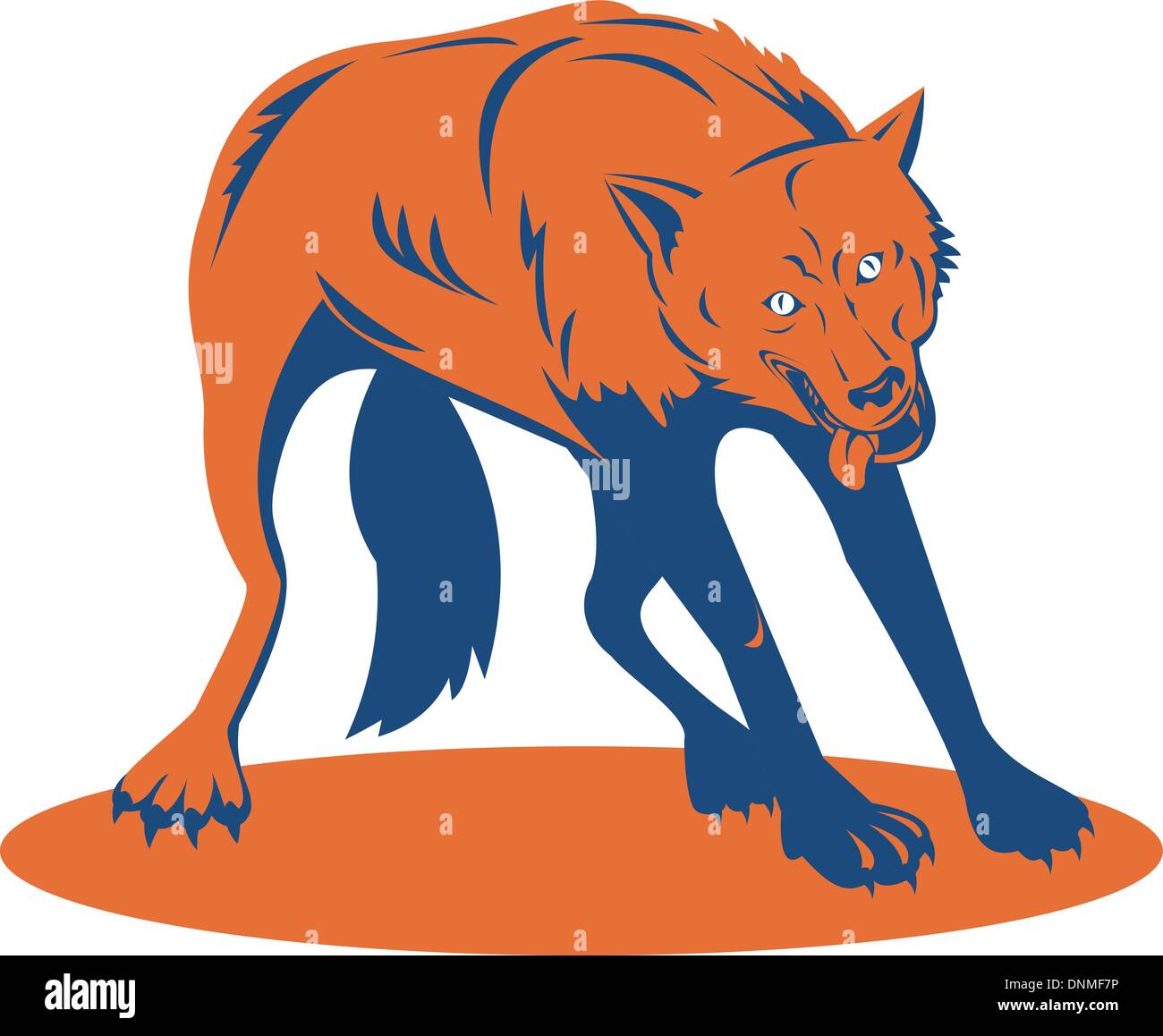 Ilustración de un perro salvaje lobo atacando hecho en estilo retro de fondo aislado Ilustración del Vector