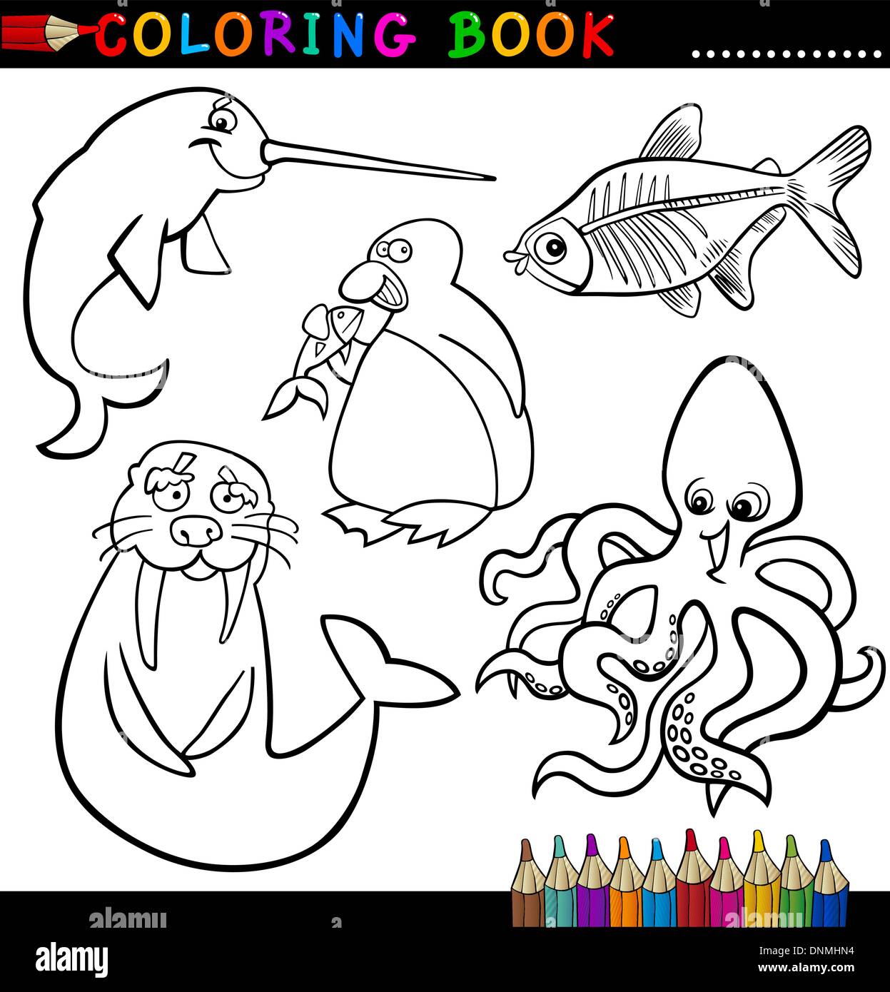 Libro para colorear o página Cartoon Ilustración de divertidos animales  marino y polar para niños Imagen Vector de stock - Alamy