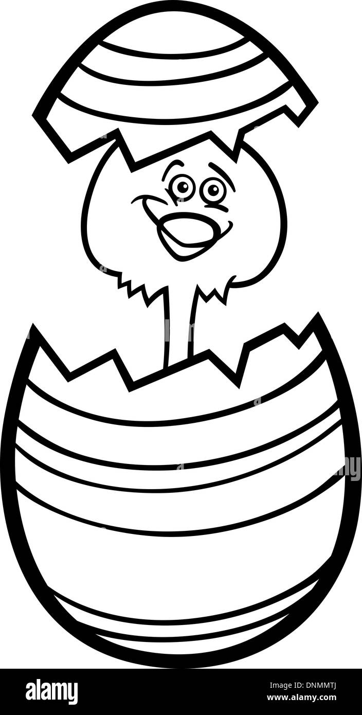 Ilustración caricatura en blanco y negro de pollo o Gracioso polluelo en colorido cascarón de Ilustración caricatura en blanco y negro de pollo o Gracioso polluelo en colorido cascarón de