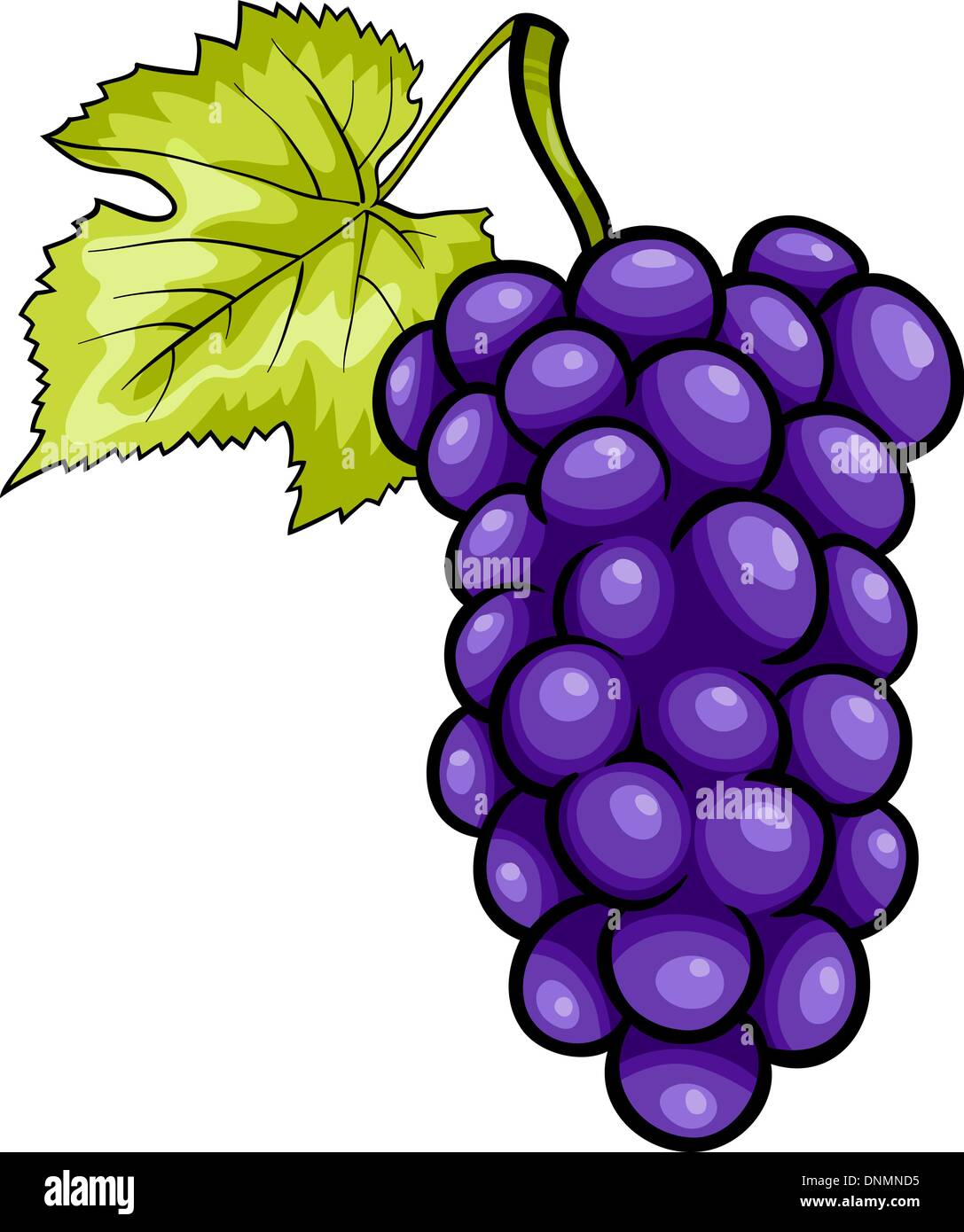 Cartoon ilustración del montón de azul o morado o negro de uva o Vid fruta objeto de alimentos Imagen Vector de stock - Alamy Cartoon ilustración del montón de azul o morado o negro de uva o Vid fruta objeto de alimentos Imagen Vector de stock - Alamy