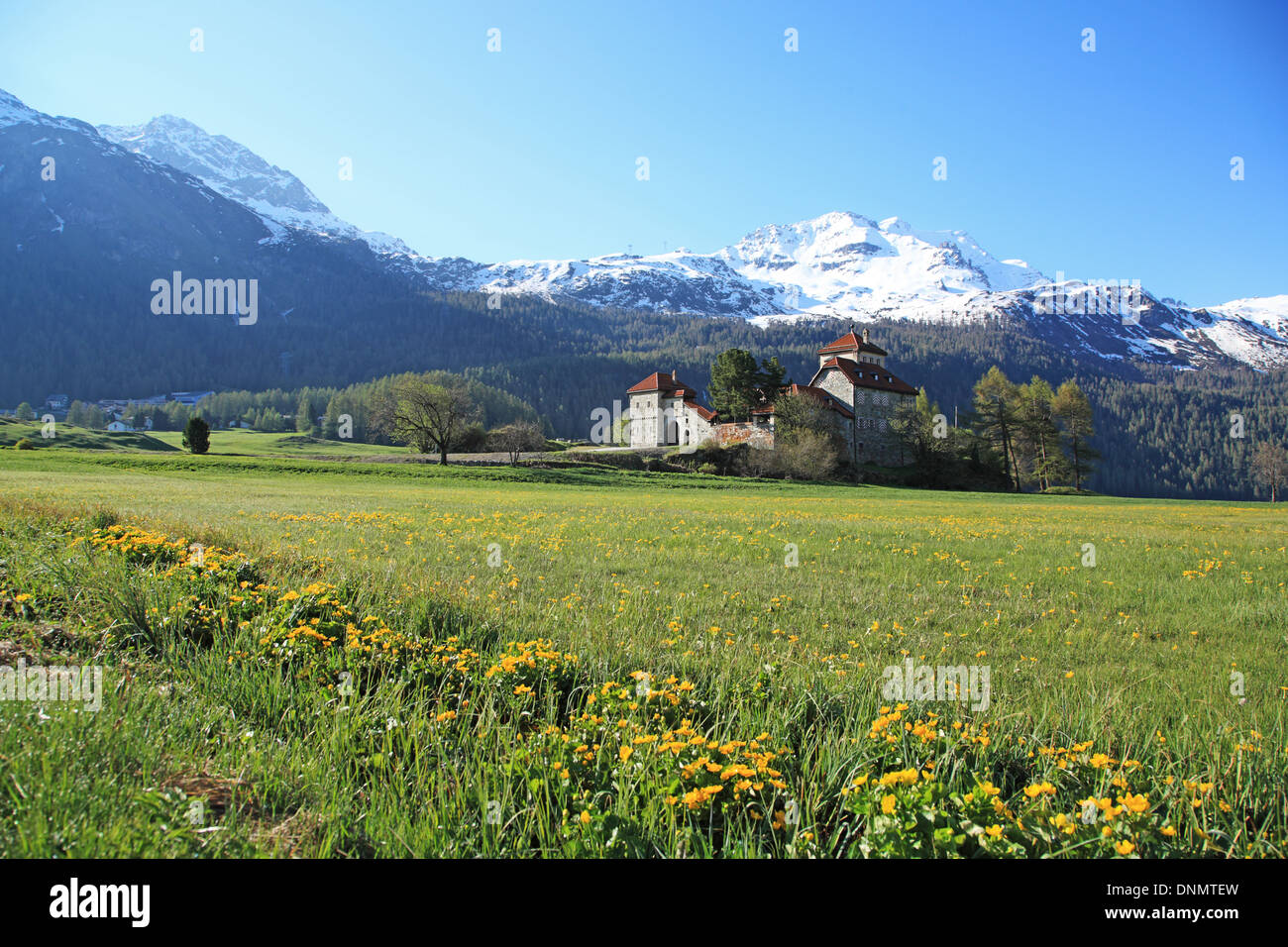 Suiza, Cantón Graubunden, Ober-Engadin, Surlej Foto de stock