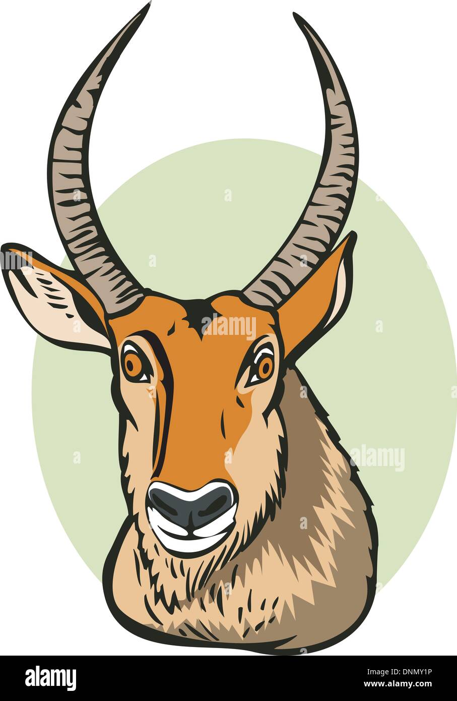 Ilustración de un defassa antelope aislado sobre fondo blanco hecho en estilo retro. Ilustración del Vector