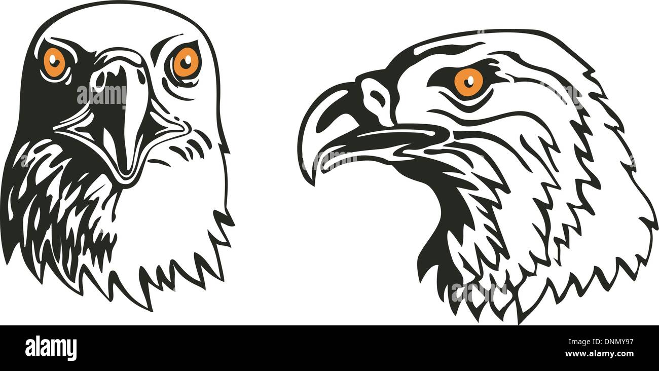 Ilustración de dos cabezas de águila vista frontal y lateral aislado