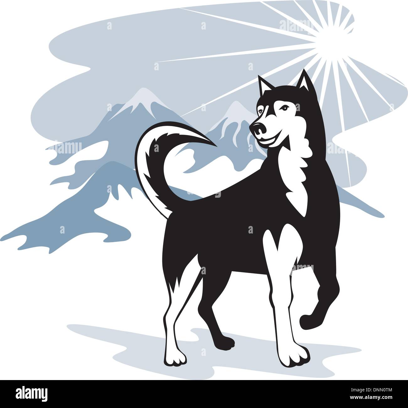 Ilustración de un Alaska Malamute husky perro salvaje lobo hecho en estilo retro. Ilustración del Vector