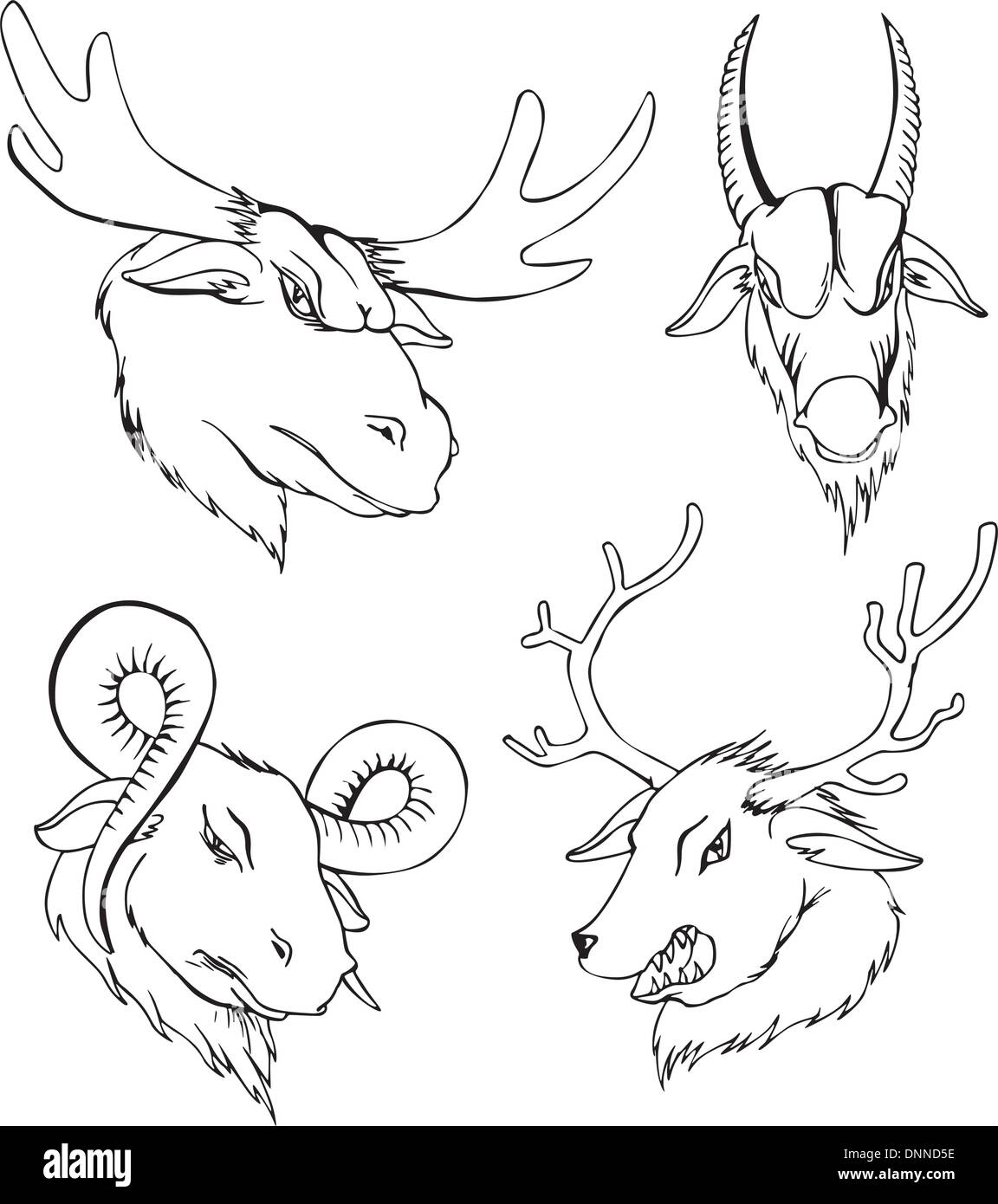 Los jefes agresivos de ciervos y cabras. Conjunto de vectores en blanco y negro tatuaje Diseños. Ilustración del Vector