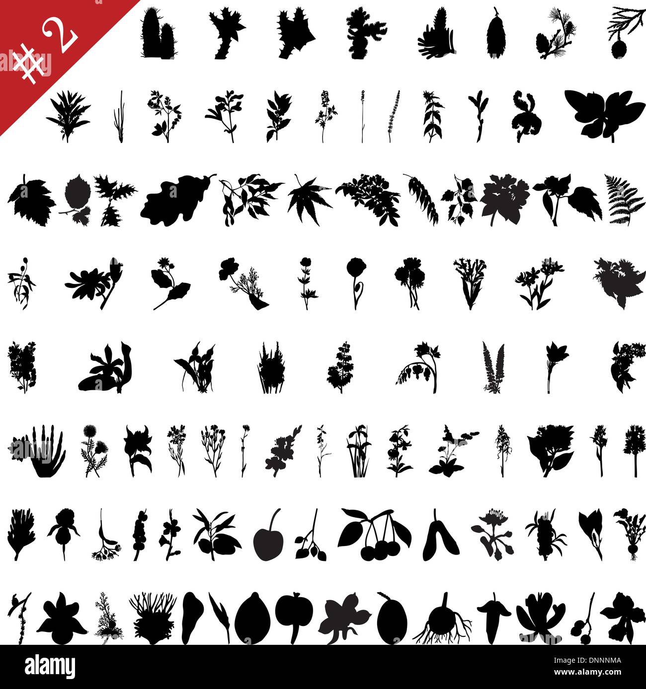 Colección de vectores de diferentes plantas y flores, siluetas #2 Ilustración del Vector