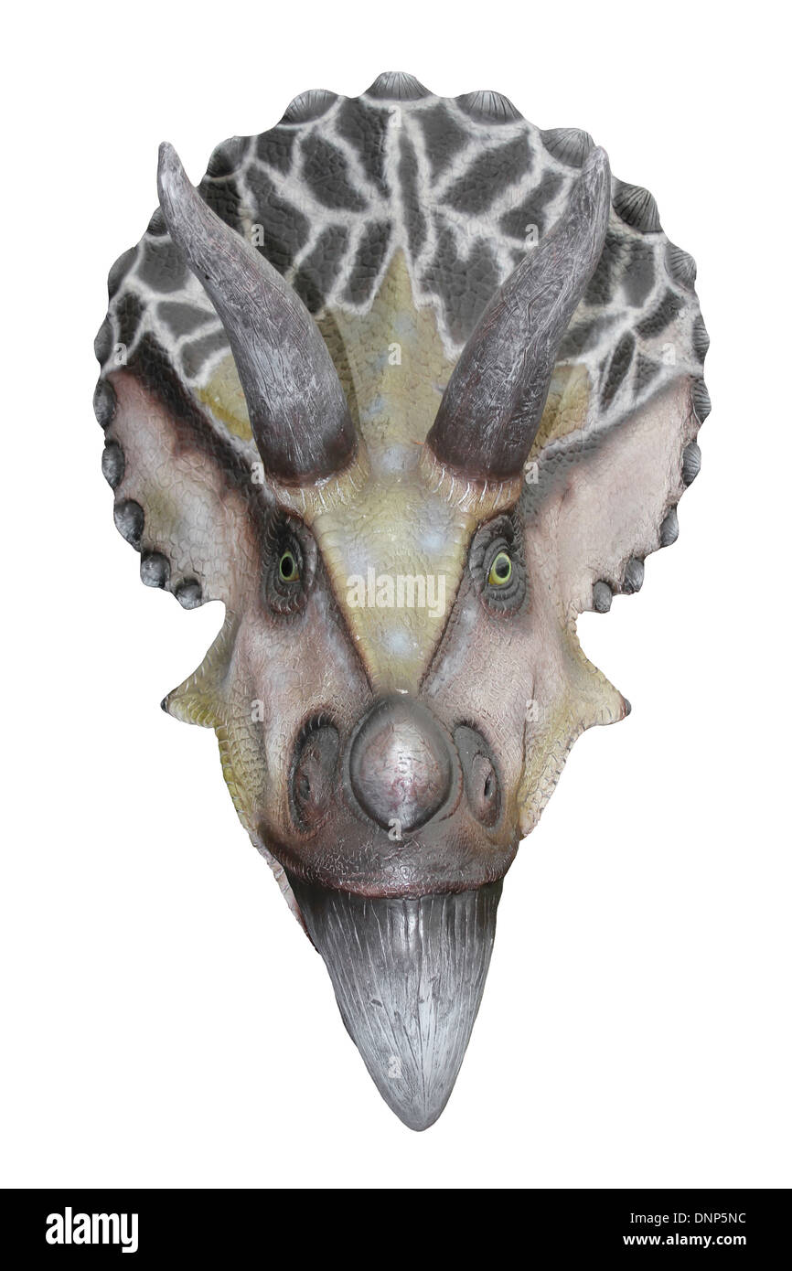 Vista frontal del modelo de cabeza de Triceratops Foto de stock