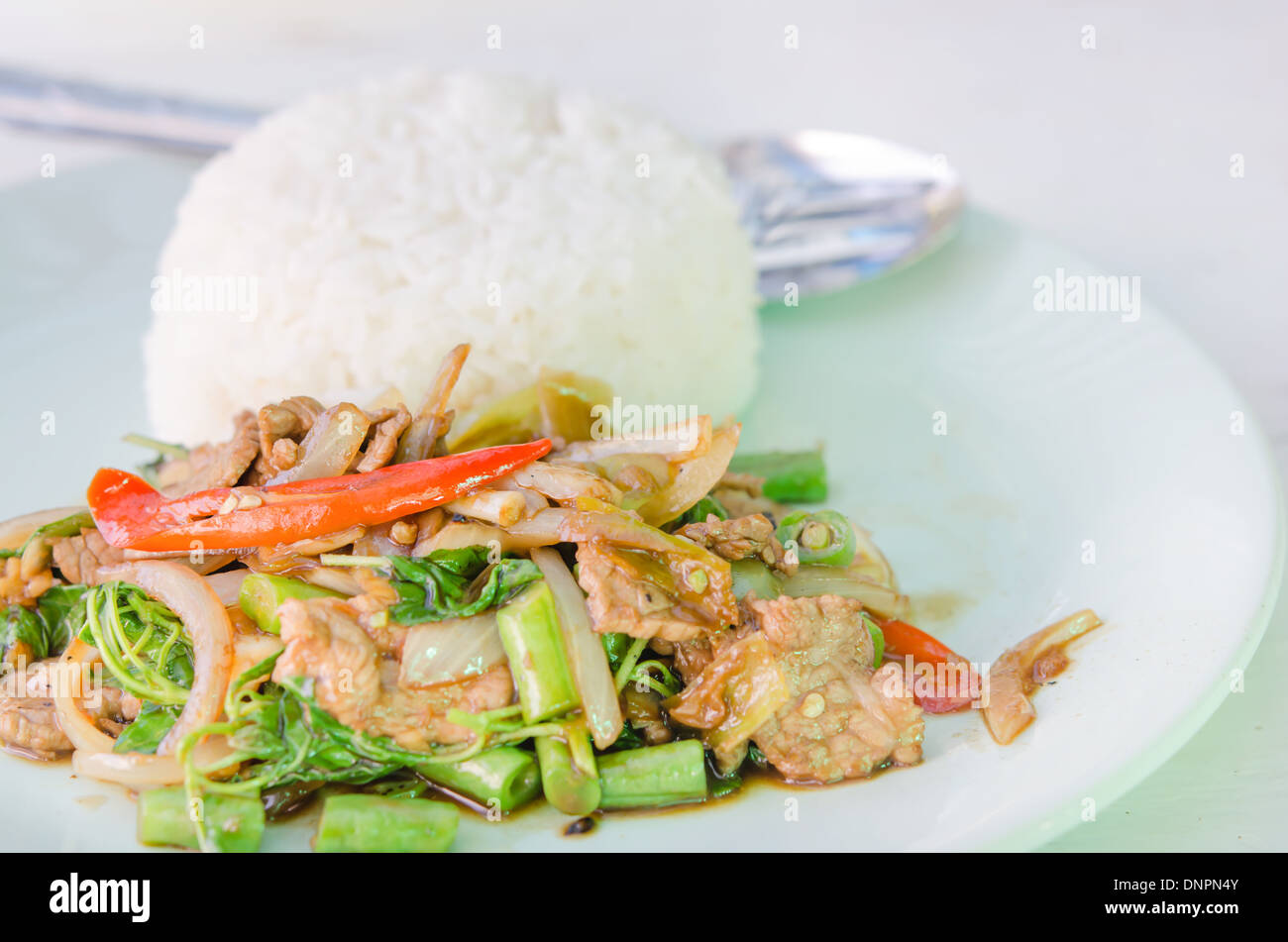 Mezcle la carne frita, salsa de curry y verduras servido con arroz al vapor Foto de stock