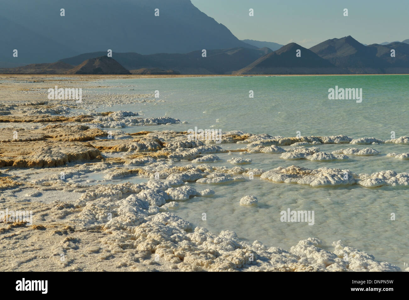 Placas de sal secada por el sol a orillas del lago Assal, Djibouti Foto de stock