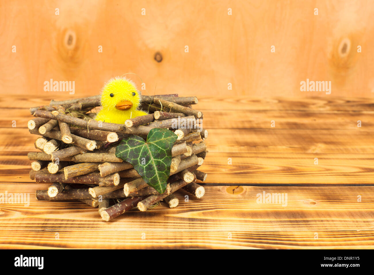 Los polluelos en el nido, hoja de hiedra Foto de stock