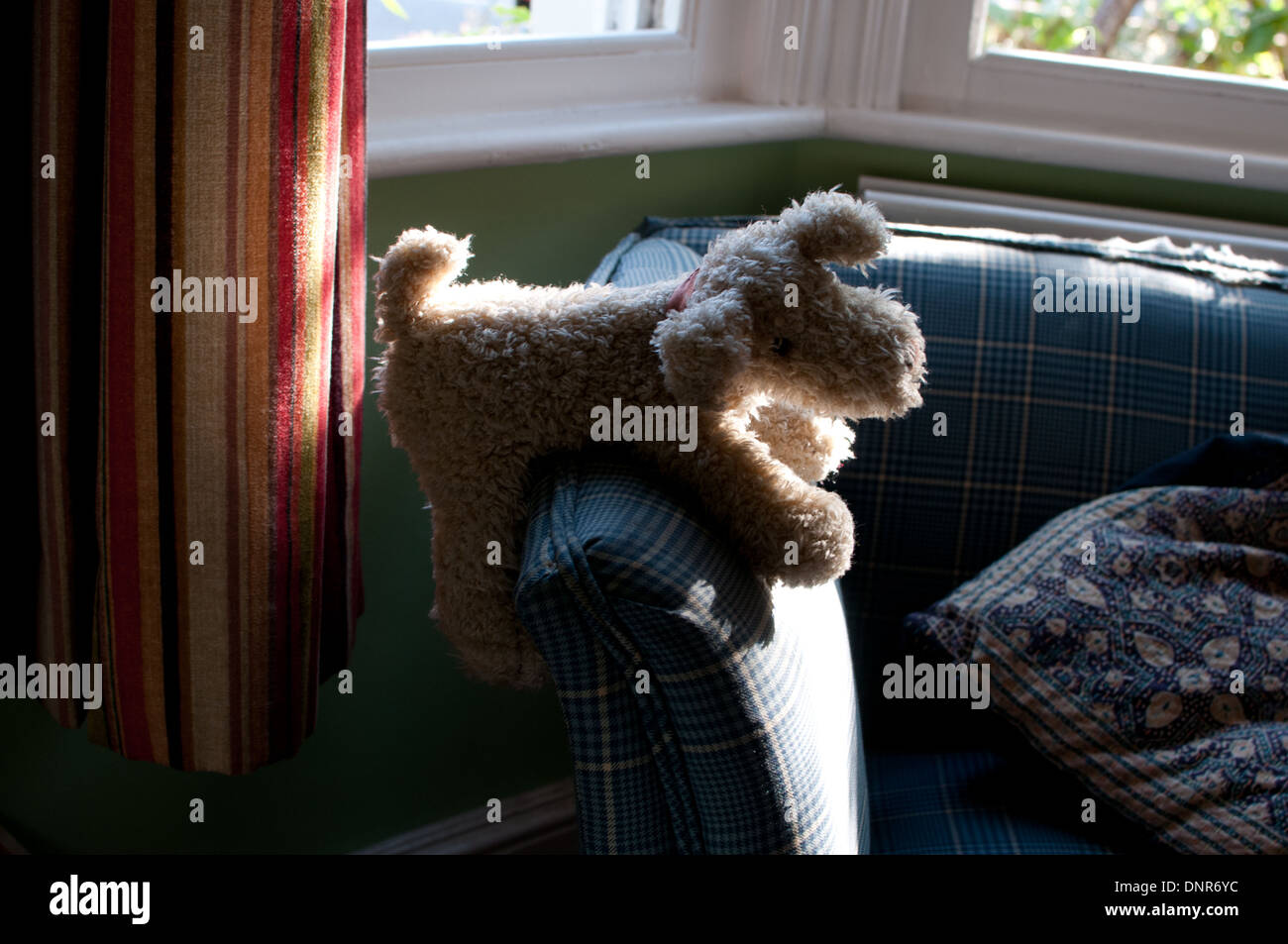 perro de juguete en el sofá Foto de stock