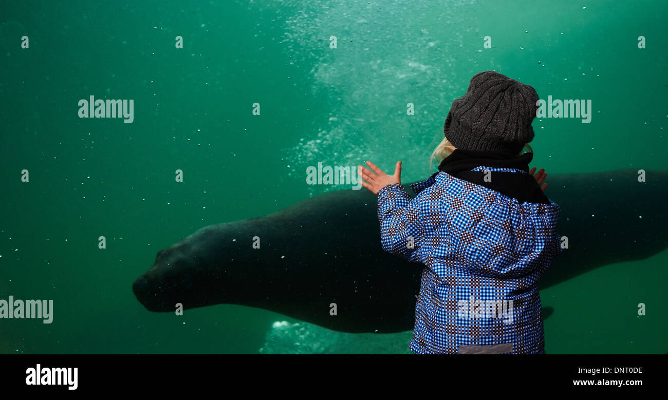 Children watching through glass aquarium fotografías e imágenes de alta