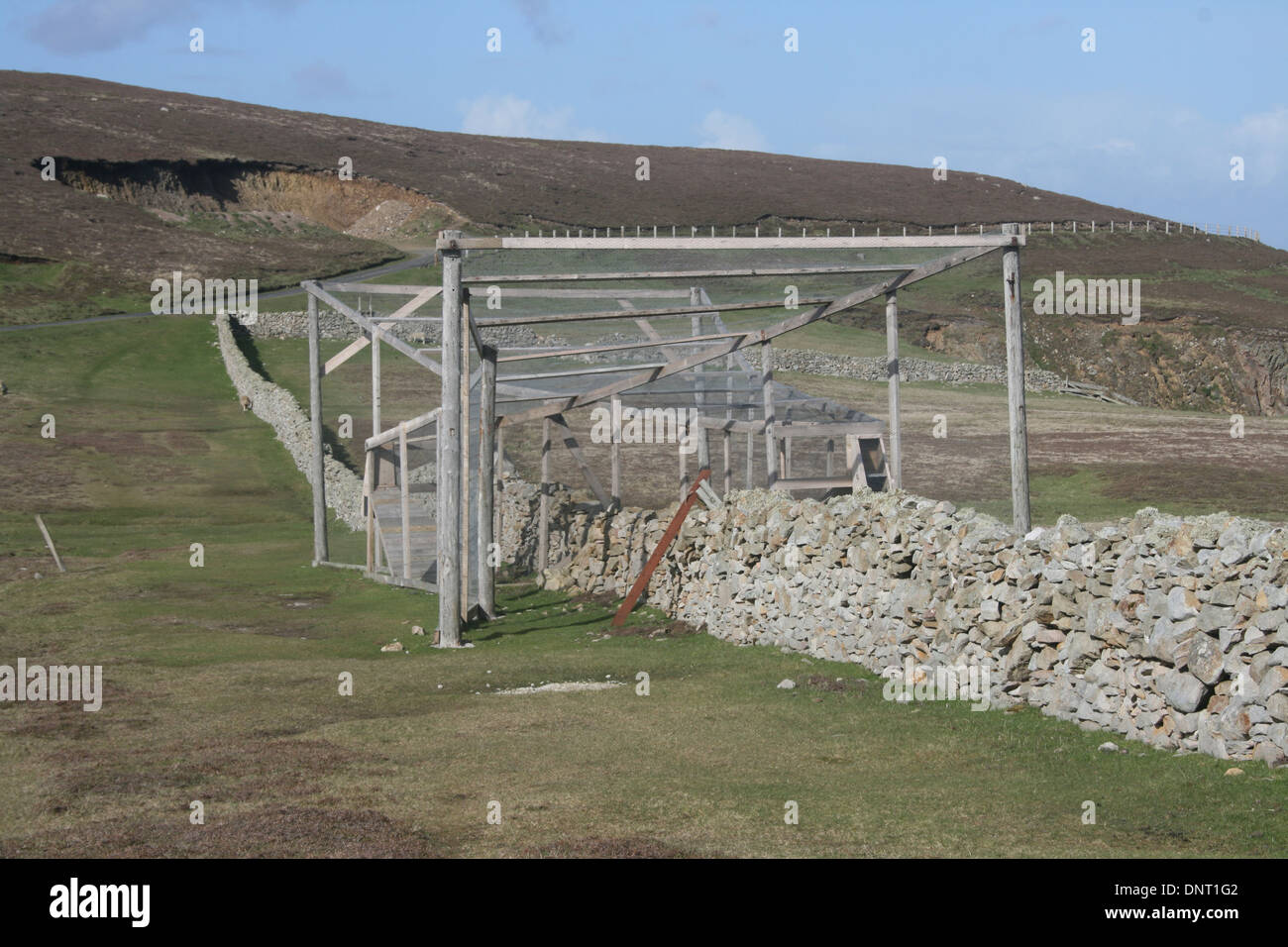 Doble la trampa de pájaro Dyke, Fair Isle, Shetland, REINO UNIDO Foto de stock