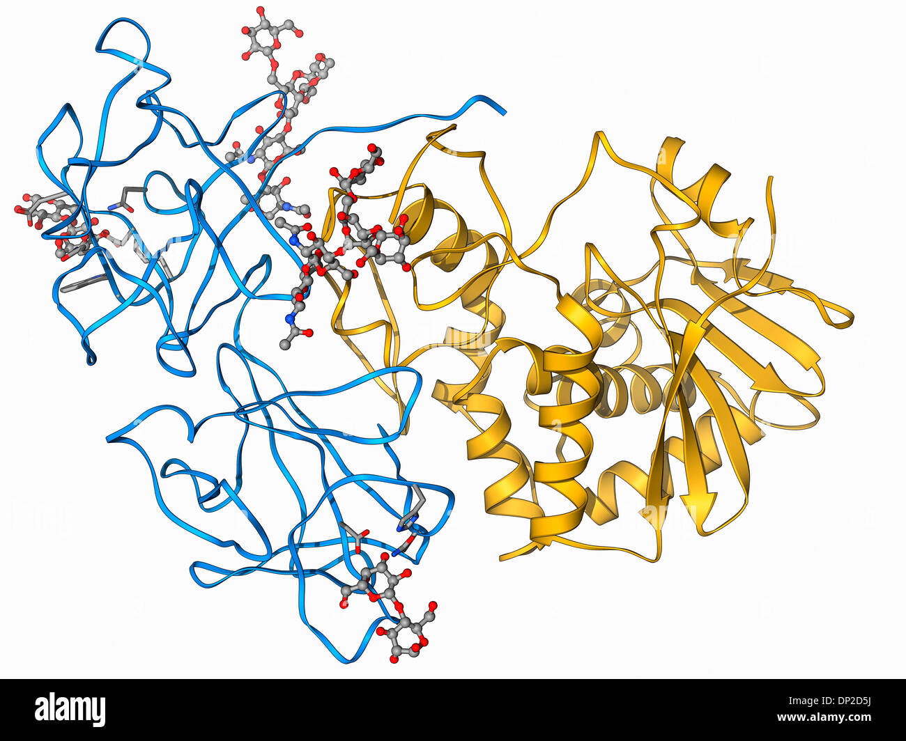 Токсичные белки. Молекула рицина. Рицин Токсин. Рицин структурная формула. Рицин белковая структура.